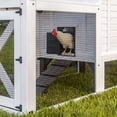 thumbnail image 6 of Backyard Discovery Sweetwater Cedar Wooden Chicken Coop for 4-6 Chickens, Run, Nesting Box, 6 of 13