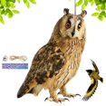 thumbnail image 4 of Bird Repel Scarecrow, Owl Scarecrow Scarer Pendant, Decorative Scarer Pendant with Bell, Fake Bird Scare Device, Waterproof Patio Balcony Garden Decorations, 4 of 10