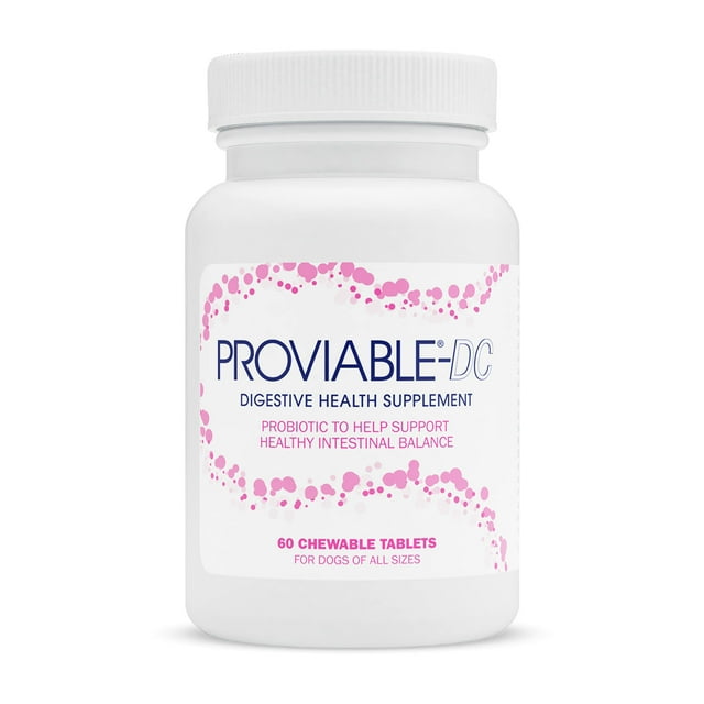 Nutramax Laboratories Proviable Digestive Health Supplement Multi-Strain Probiotics and Prebiotics for Dogs, With 7-Strains of Bacteria, 60 Chewable Tablets