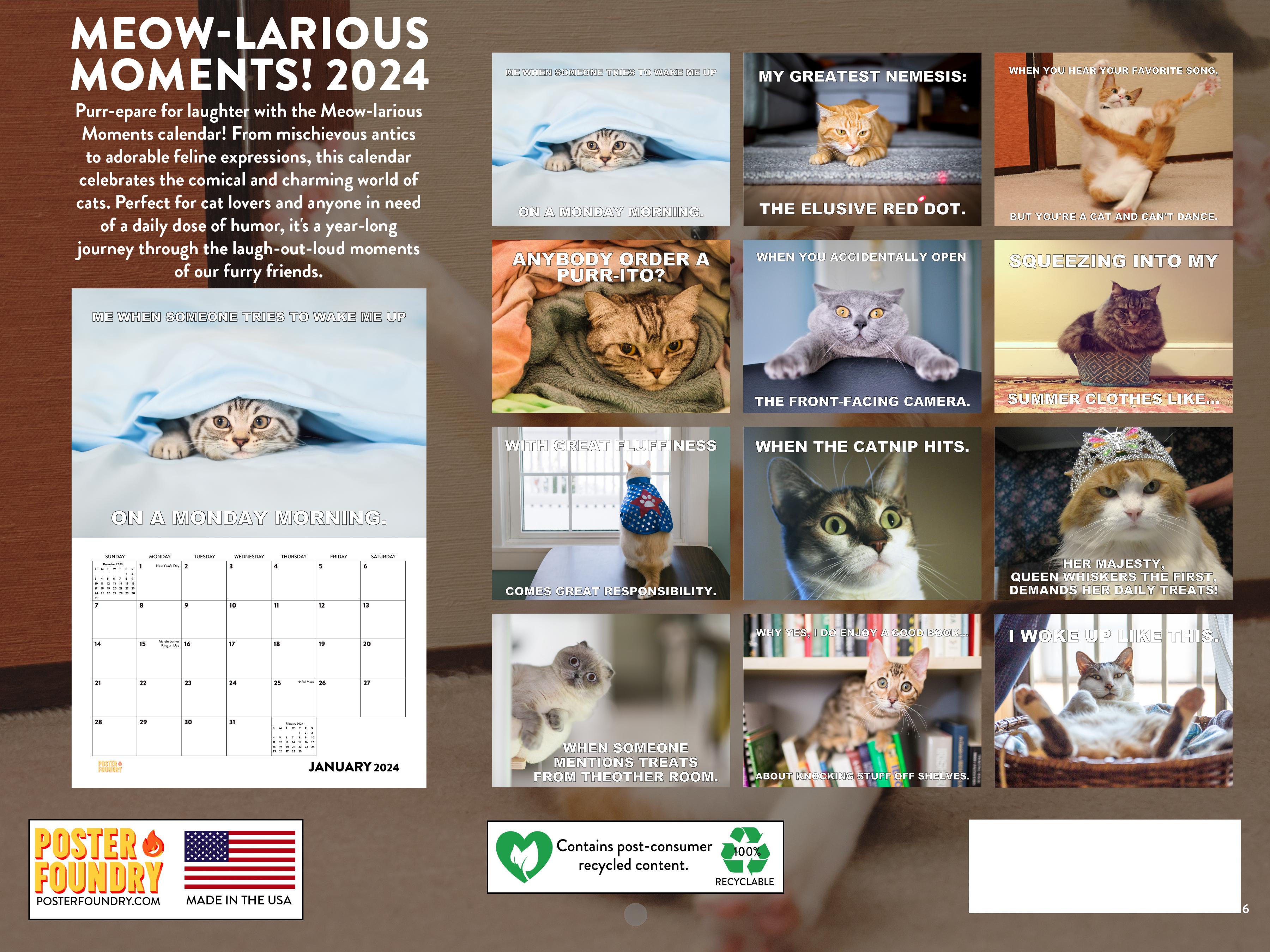 Funny Cat Meowlarious Calander 2024 Wall Calendar Funny Cat 2024