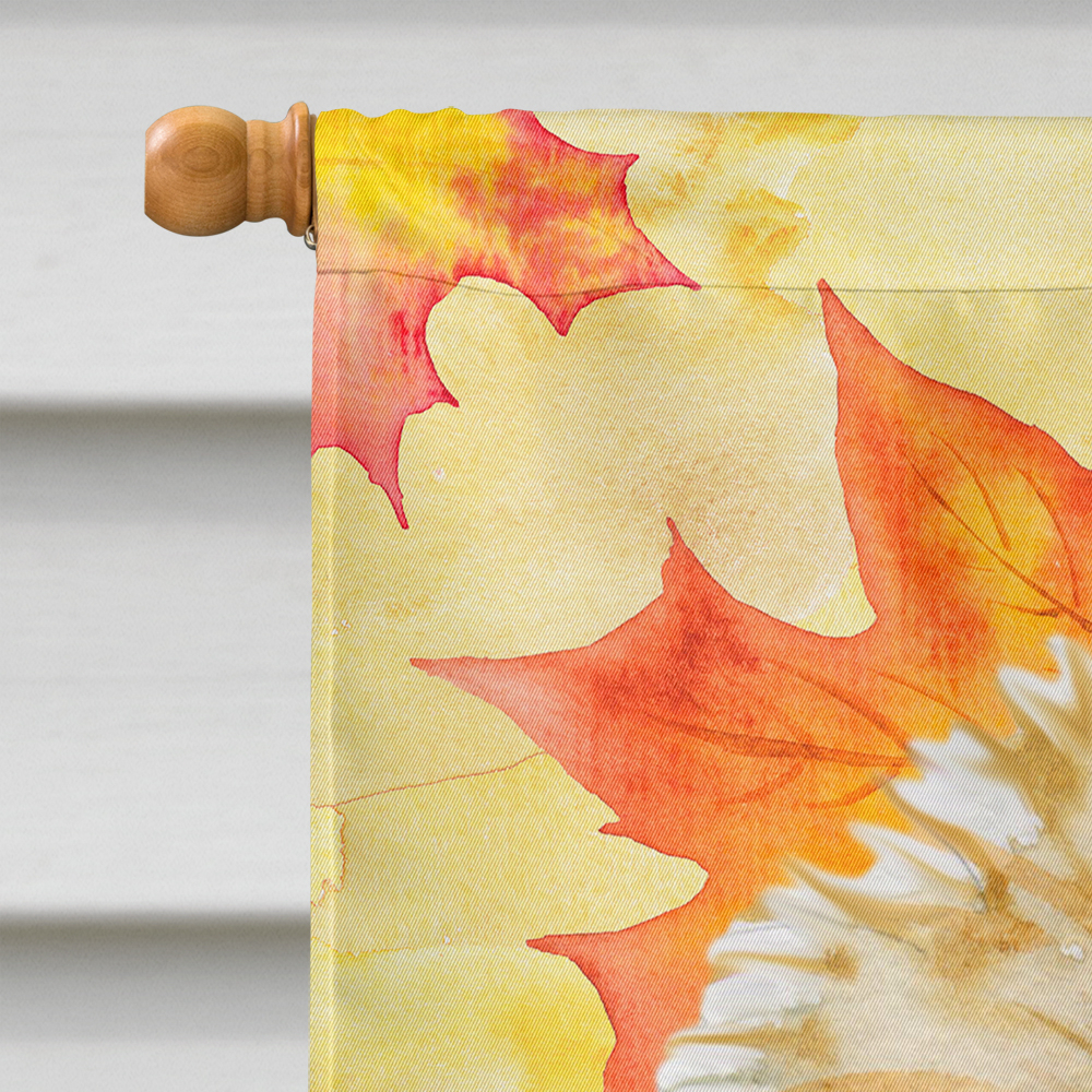 Carolines Treasures BB9929CHF Morkie Fall Flag Canvas House Size  Large multicolor