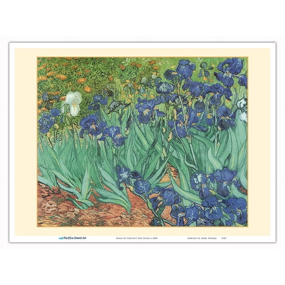 Irises - From an Original Color Painting by Vincent Van Gogh c.1889 - Master Art Print (Unframed) 9in x 12in