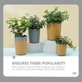 thumbnail image 3 of 10 Sets Plastic Flowerpots Small Rose Planter Succulent Plant Nursery Pots, 3 of 8