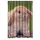 thumbnail image 1 of ABPHQTO Attaboy Rabbit Peasonal Design Cortina de ducha Cortina de ducha impermeable 120x180 cm, 1 of 2