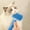 BU, variant on SuoKom Dog Brush, Cats Brush, Dog Brush for Shedding, Self Cleaning Pet Brush for Grooming Long Short Haired Dog Cats, Cats Brushes for Indoor Cats