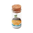 thumbnail image 1 of Small Green Bonsai Plant Pots Green Plants Housewarming Gift Yellow, 1 of 8