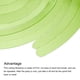 thumbnail image 4 of 30uds Claro Verde Fiesta Colgante Doble Tira Colgante Decoraciones Plástico Techo Serpentinas Fiesta Decoraciones para Cumpleaños Fiesta con Colgar Etiqueta Gancho, 4 of 7