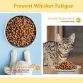 thumbnail image 4 of bathprove 3 PCS Stainless Steel Cat Food Bowl Dish, 6.7" Shallow Flat Wide Cat Plates for Wet Food, Relief Whisker Fatigue, Removable Non-Slip Silicone Base, Replacement for Feeding Small Pet Kitten, 4 of 7