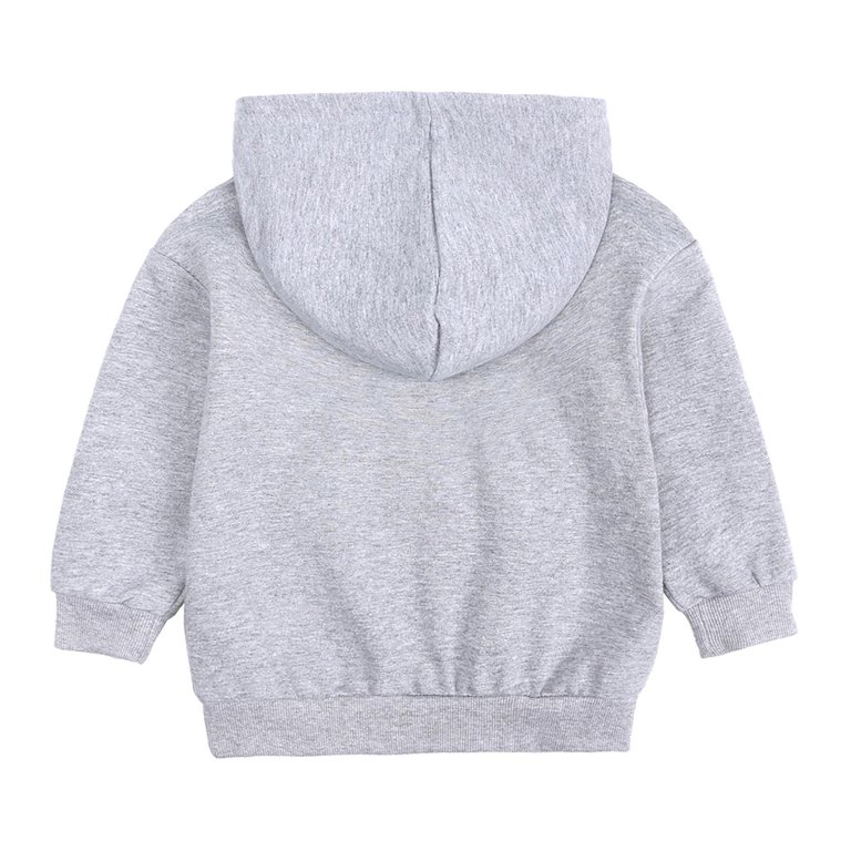 Kids Tracksuits 2 Piece Athletic Hoodie Sweatshirts