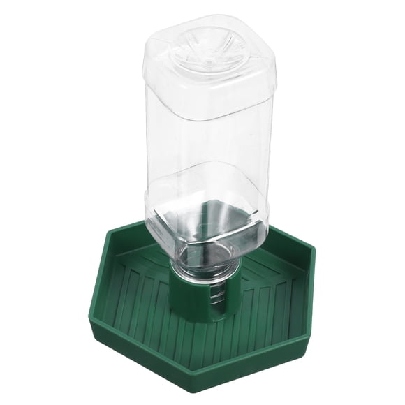 Nestingho Plato Para Reptiles Compacto Plástico Para Alimentación Y Bebida
