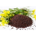 thumbnail image 6 of 1000 Seeds BROWN MUSTARD Brassica Juncea Vegetable Herb Seeds, 6 of 9