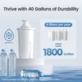 thumbnail image 6 of AQUA CREST CF06A Replacement for Brita® Filter, Brita® Water Pitchers and Dispensers, Classic OB03, Mavea® 107007, and More, NSF Certified Pitcher Water Filter, 3 Pack, 6 of 8