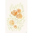 thumbnail image 2 of Lee, Judson 17x24 White Modern Wood Framed Museum Art Print Titled - Delicate Peach Roses, 2 of 4