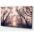 thumbnail image 2 of Road Through Mystical Dark Forest, 2 of 3