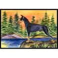thumbnail image 1 of Carolines Treasures SS8419MAT Paillasson Intérieur Extérieur 18 x 27 Po. Manchester Terrier, 1 of 4