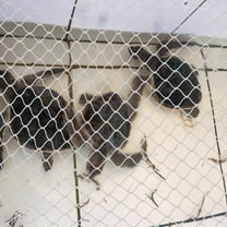 ROSENICE Aquarium Safety Mesh Net Fish Escape Prevention Mesh Fish Tank Anti jump Net