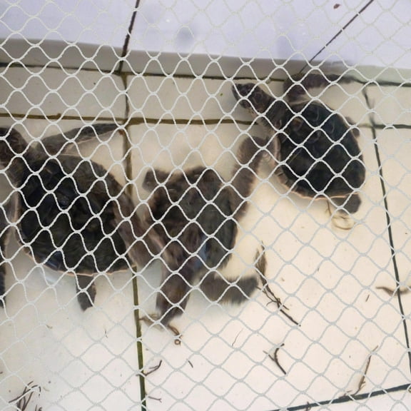 ROSENICE Aquarium Safety Mesh Net Fish Escape Prevention Mesh Fish Tank Anti jump Net