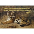 thumbnail image 2 of ArtsyQuotes 32x23 White Modern Wood Framed Museum Art Print Titled - Bible Verse Quote Job 12:7, Jean-Leon Gerome - Tiger II, 2 of 4
