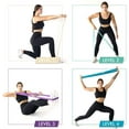 thumbnail image 7 of Xtreme Bands Resistance Bands 4-Level Set with Handles & Door Anchor for Strength Training, 7 of 7