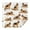 German Shepherd Dogs, variant on German Shepherd Dogs with Flowers Square Tablecloth,Waterproof Square Table Cover,Wipeable Spillproof Washable Table Cover for Home Kitchen Party Decor 42"X42"(107x107cm)