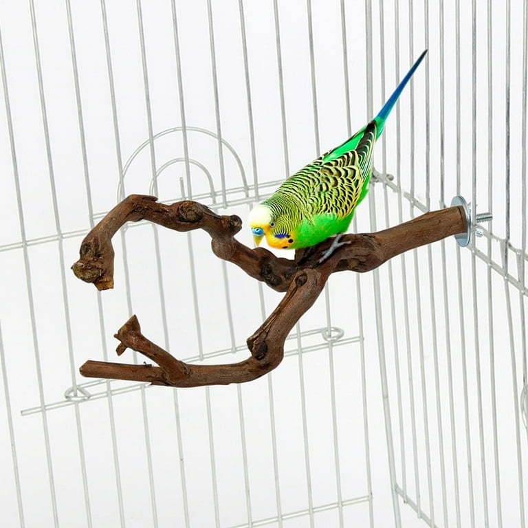 Budgie perches hotsell
