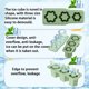 thumbnail image 5 of Fiudx Ofertas Flash Del Día Solo En Línea Fabricación De Hielo Enrejado De Hielo Enrejado De Hielo De Grado Alimenticio Enrejado De Hielo De Copa De Cubitos De Hielo Grandes, 5 of 6