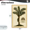 thumbnail image 4 of Stupell Industries Traditional Vintage Colonial Palm Canvas Art, 30 x 45, by Vision Studio, 4 of 8