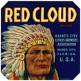 thumbnail image 2 of Anonymous 15x15 Gold Ornate Wood Frame and Double Matted Museum Art Print Titled - Red Cloud Brand Citrus Label (1930-1950), 2 of 4