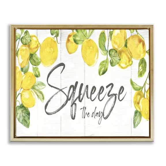 Stupell Industries French Country Squeeze The Day Rustic Gold Floating Frame Canvas Art, 21 x 17, by Nan