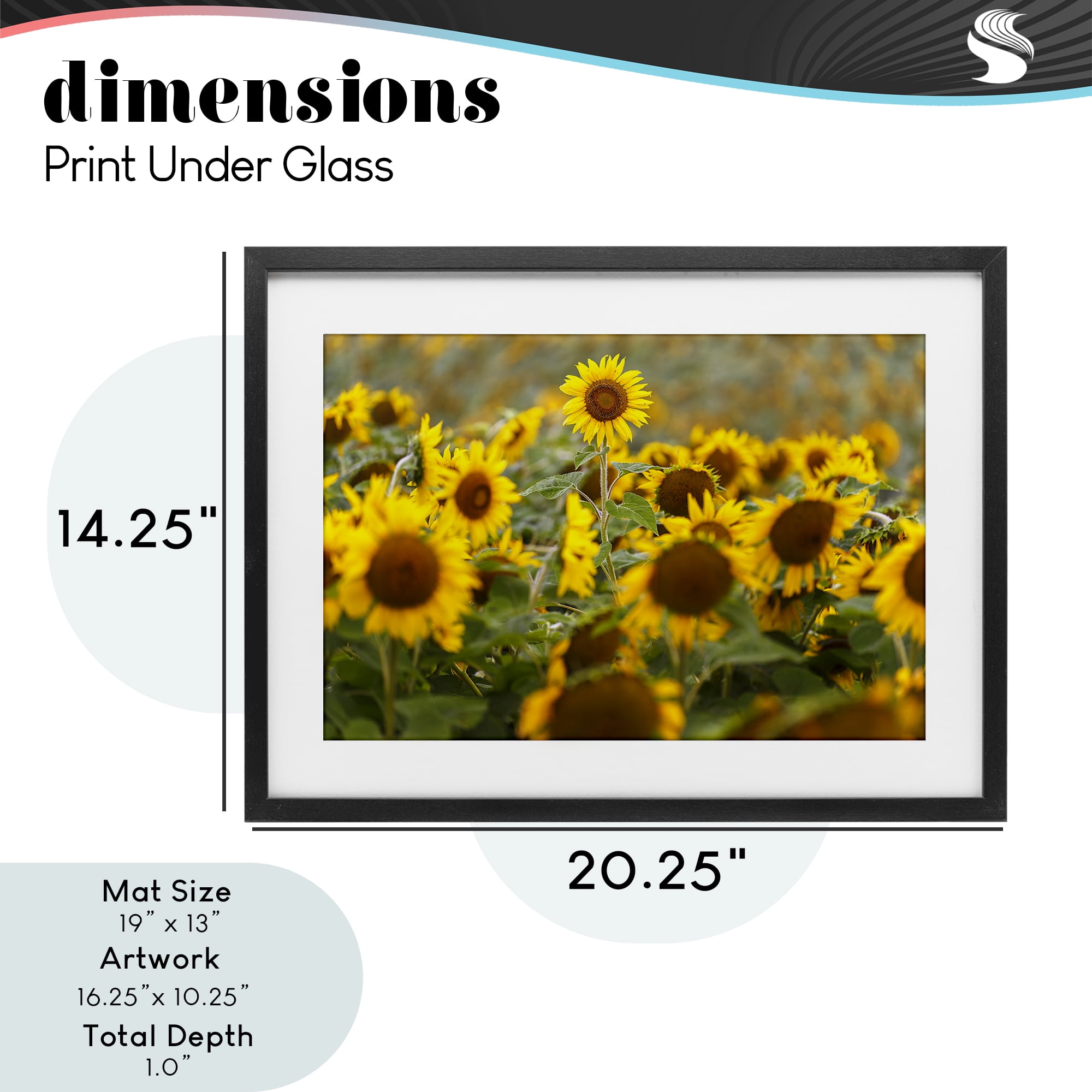 Central Sunflower in Meadow Black Framed Print Under Glass, design by Andy Crawford