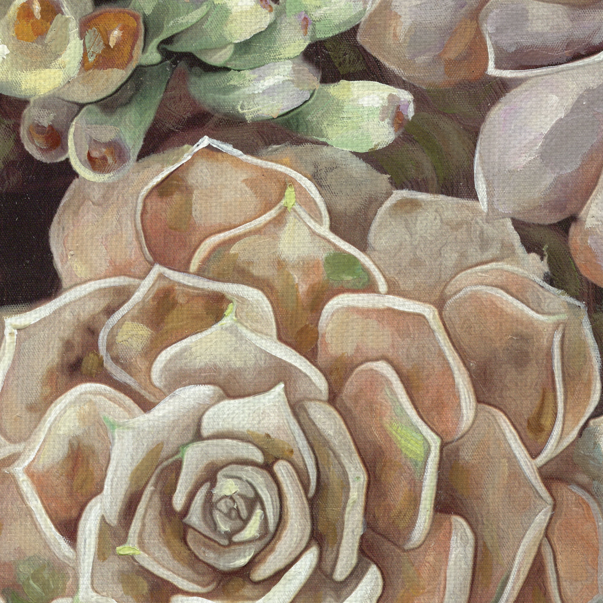 Desert Garden Panel II by Dixon Design Group Wrapped Canvas Painting Art Print