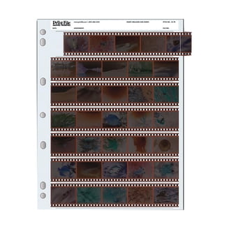 BCW 5 X 7 Photo Sleeves 100 Pack - Walmart.com