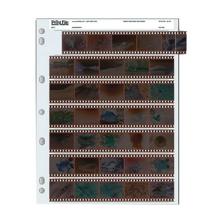 Printfile Archival Negative Pages 100-Pack