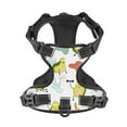 thumbnail image 4 of Gaeub Orange Green Avocado Gaeub Orange Green Avocado No Pull Dog Harness, Secure and Adjustable Pet Vest for Outdoor Activities - Large, 4 of 8