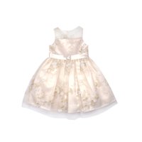 Metallic Embroidered Mesh Occasion Dress