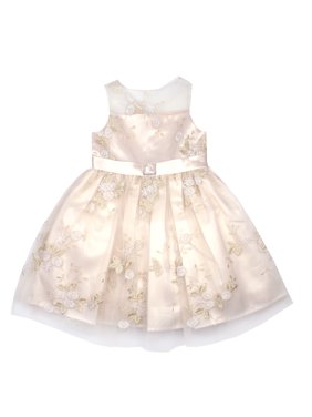 Metallic Embroidered Mesh Occasion Dress