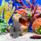 thumbnail image 4 of LITINKIMI Acuario Casa Resina Para Decorar Y Peces Color Oscuro, 4 of 6