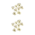 thumbnail image 1 of Bearachild 12 Pieces Dried Flower Crafts Simple Pressed Accessories Makeup Make Exquisite Handicrafts Craft Flowers Adornment DIY Type3 NO3, 1 of 6