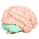 thumbnail image 2 of Molde De Cerebro, Modelo De Cerebro Humano Científico De Juguete Dedicado De Cráneo Para Niños Para Neurociencia, 2 of 8