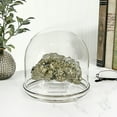 thumbnail image 4 of Plymor 5.5" x 5.5" Glass Display Dome Cloche with Silver Rim (Silver Rim Glass Tray Base), Pack of 4, 4 of 4