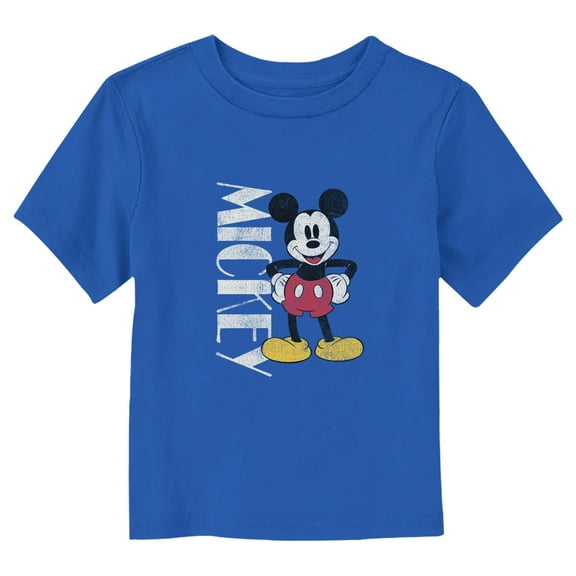 Mickey & Friends Happy Pose Distressed Graphic T-Shirt