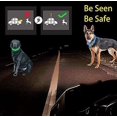thumbnail image 4 of Collar de perro intermitente con luz recargable por USB, longitud ajustable, collar intermitente impermeable cortable para perros, 3 modos, para perros pequeños, medianos y grandes (, 4 of 5