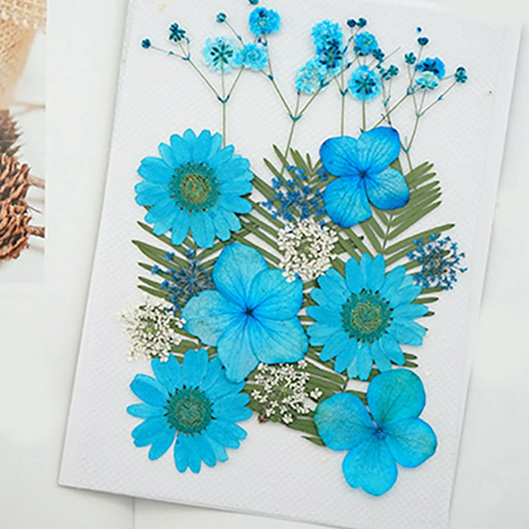 DIY Dried Flower Material Real Pressed Dry Flowers & Leaves Kit