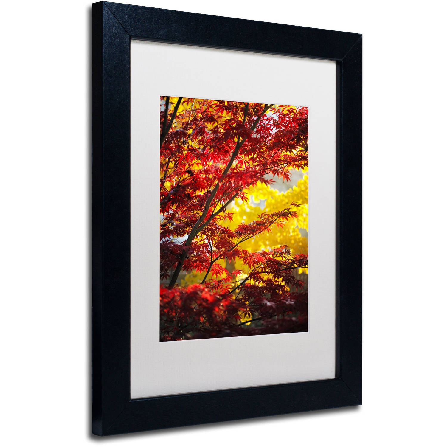 Trademark Fine Art "I Believe" Canvas Art by Philippe Sainte-Laudy White Matte, Black Frame