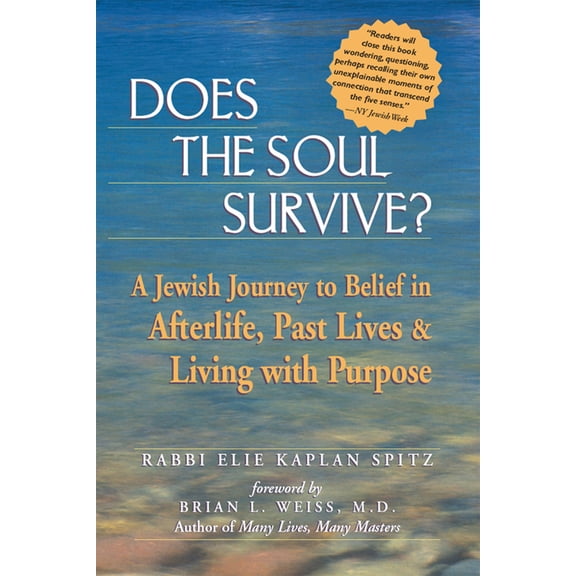Pre-Owned Does the Soul Survive?: A Jewish Journey to Belief in Afterlife, Past Lives & Living with Purpose (Hardcover) 1580230946 9781580230940