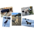 thumbnail image 2 of MAMORE Dog Winter Jacket, Waterproof dog coat, Warm Windproof dog clothes, for Small Medium and Large Dogs（Blue,L), 2 of 9