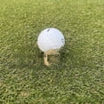 thumbnail image 4 of Señalización de golf para adultos que llevan accesorios deportivos al aire libre con señalización de golf, 4 of 5