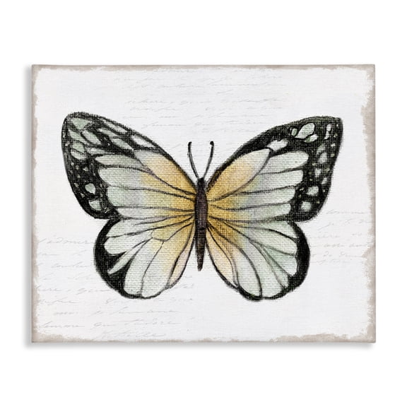 Stupell Industries Monarch Butterfly Visage Animals Painting Wrapped Canvas Art Print Wall Art, 20 x 16