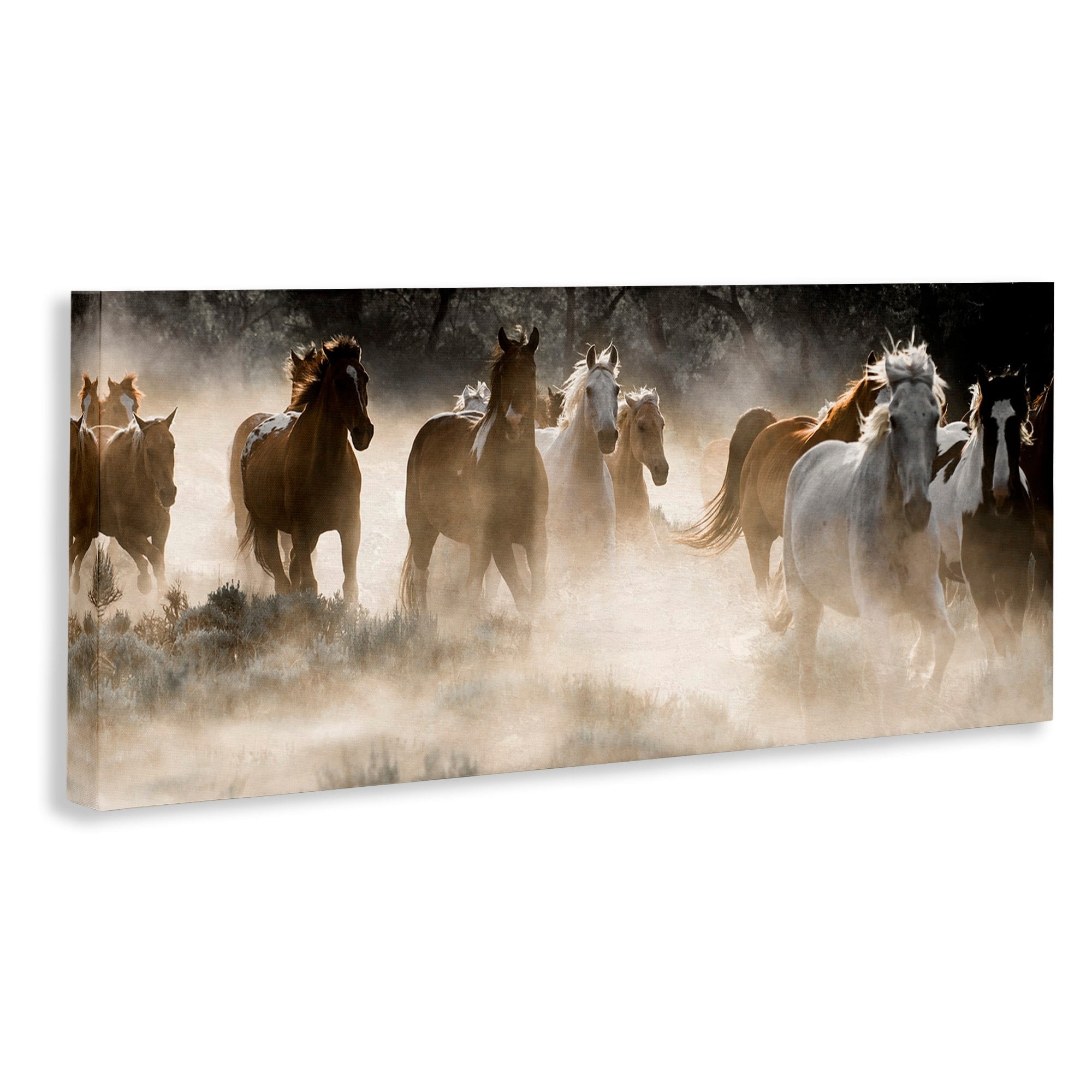 Stupell Industries Striking Horse Herd Galloping Rural Wildlife Photography Photograph Gallery Wrapped Canvas Print Wall Art, Design by Danita Delimont