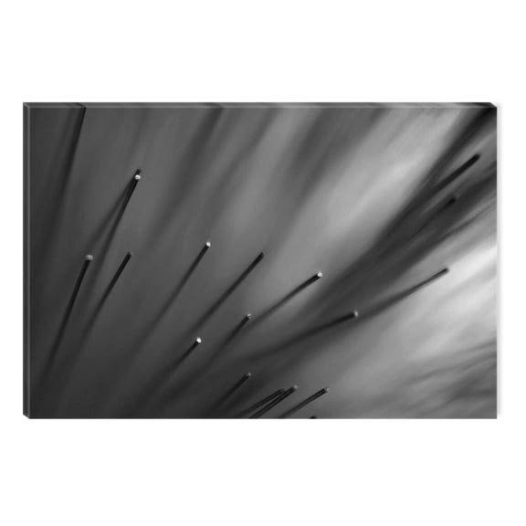 Startonight Canvas Wall Art Black and White Abstract Sharp Dreams, Dual View Surprise Artwork Modern Framed Ready to Hang Wall Art 100% Original Art Painting 23.62 X 35.43 inch